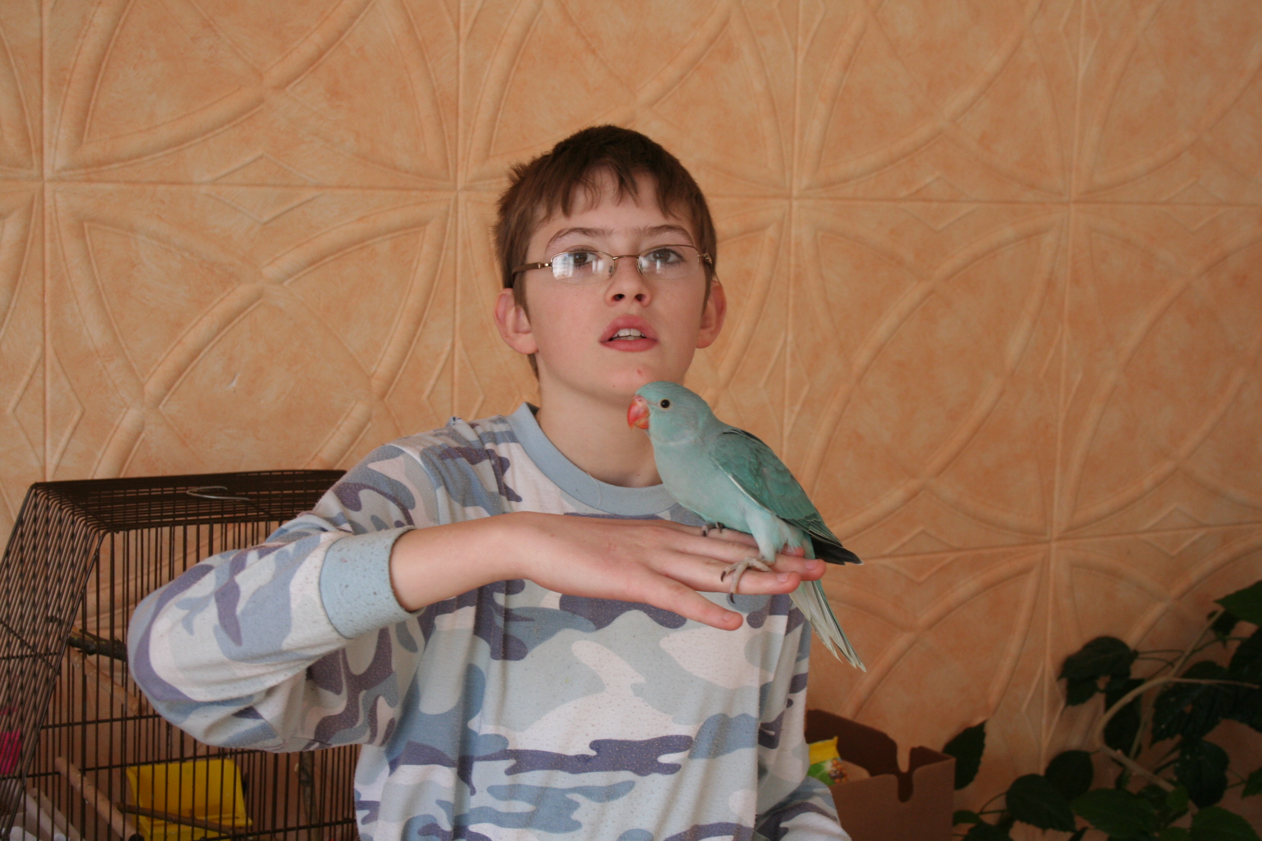 1.3.2010  papoušek Tinky 002.jpg